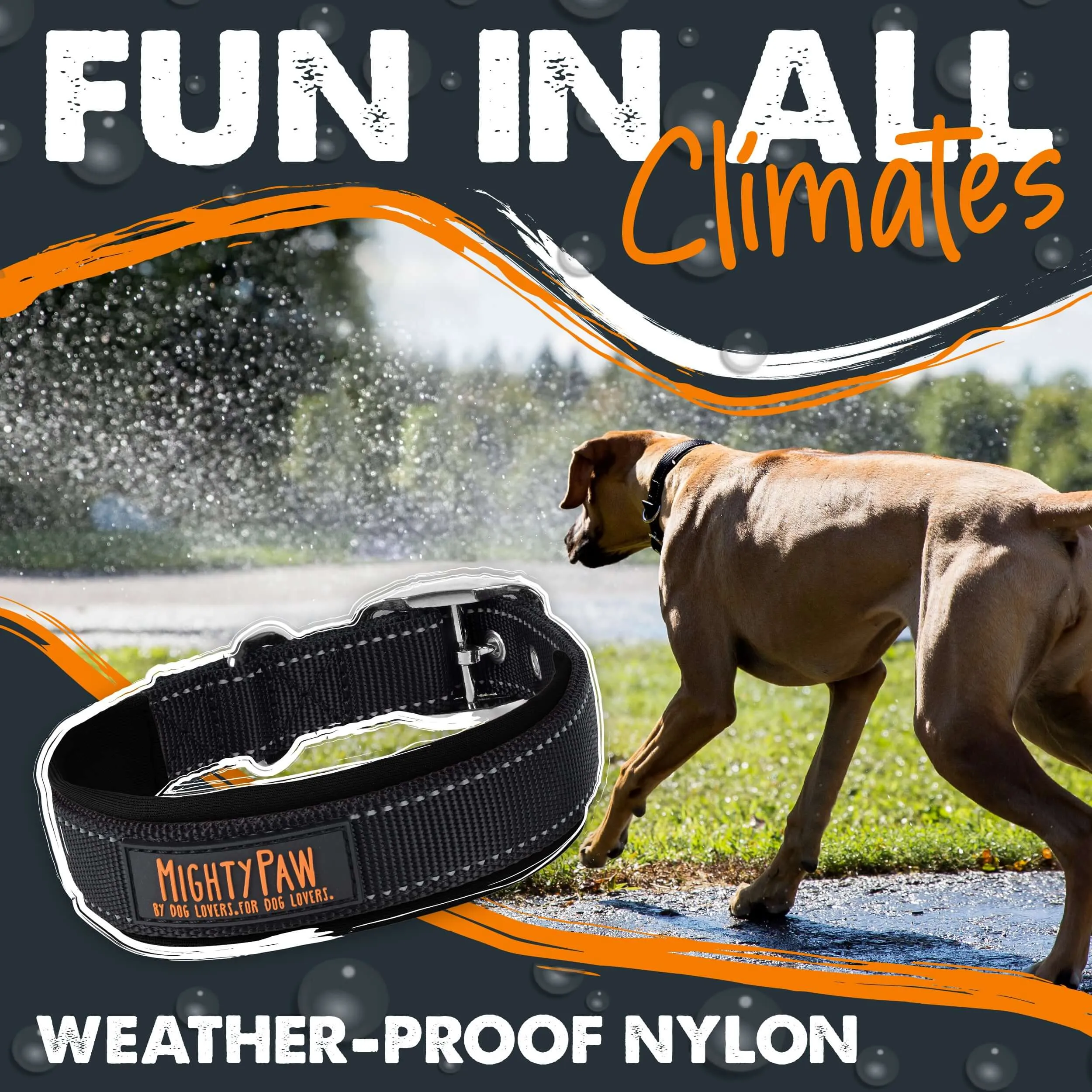 Mighty Paw Sport Collar 2.0 for Active Dogs