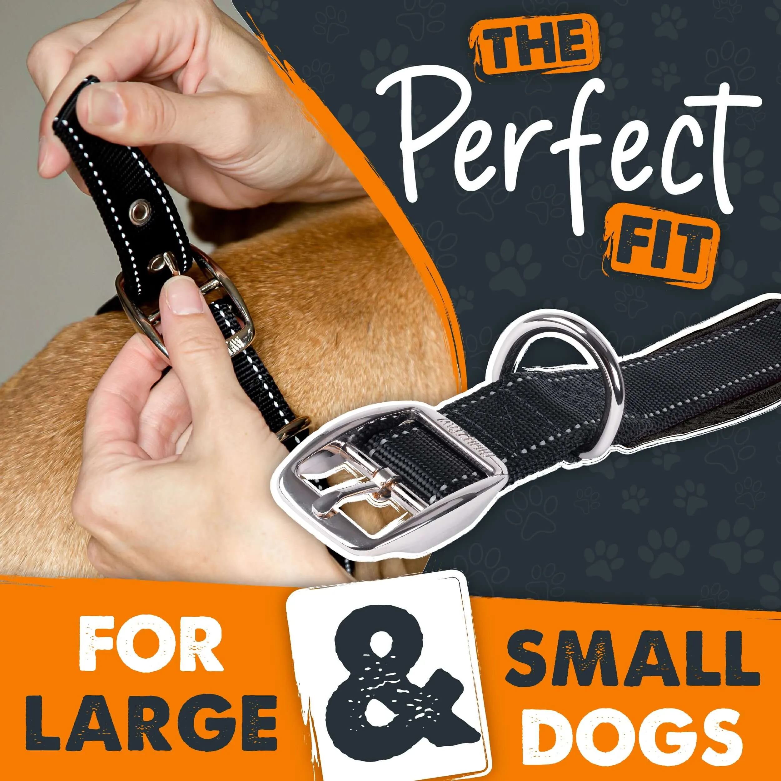 Mighty Paw Sport Collar 2.0 for Active Dogs